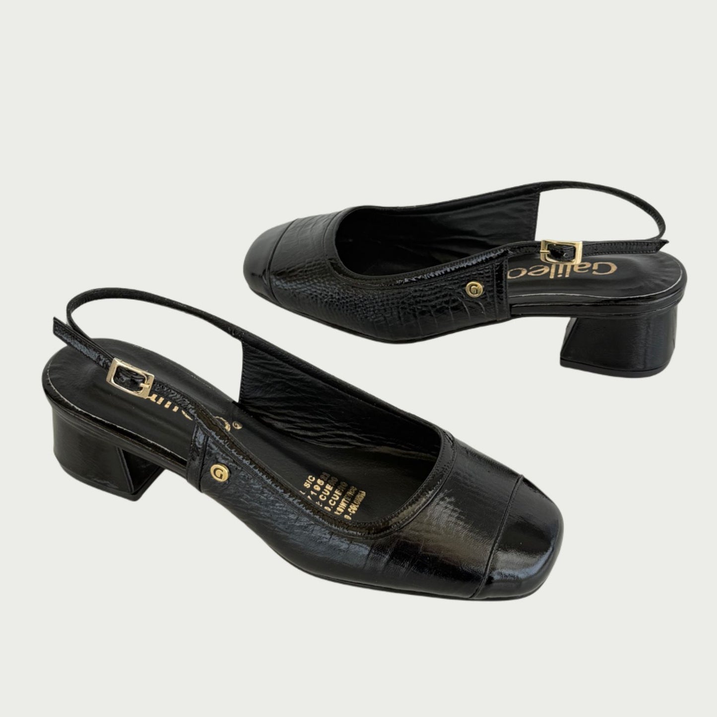 Zapatos en cuero negro Ref: PC67XPNG