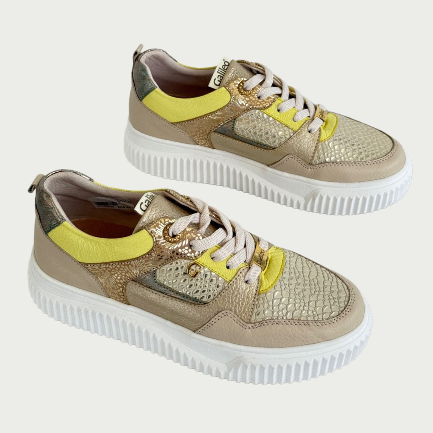 Tennis en cuero beige x verde Ref: SV12NPCH