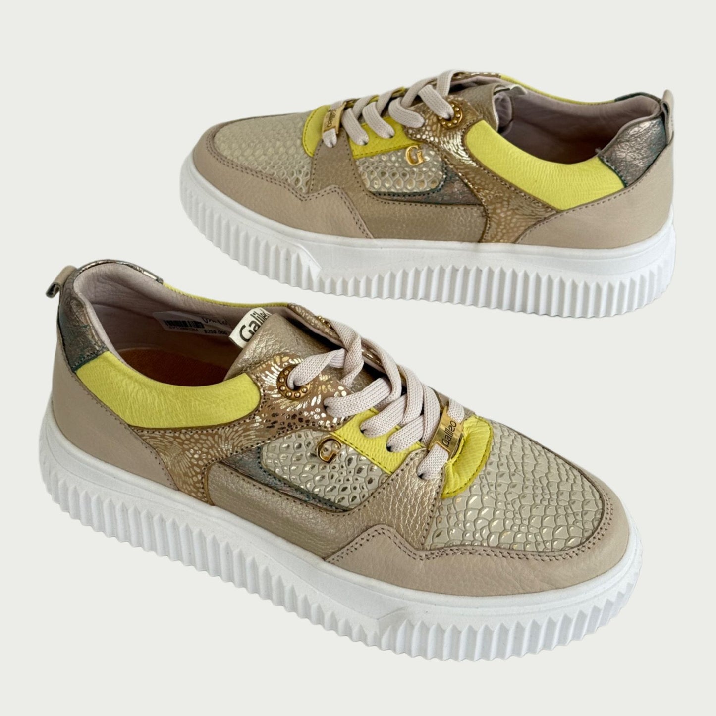 Tennis en cuero beige x verde Ref: SV12NPCH