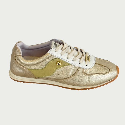 Tenis en cuero dorado x verde Ref: SD132