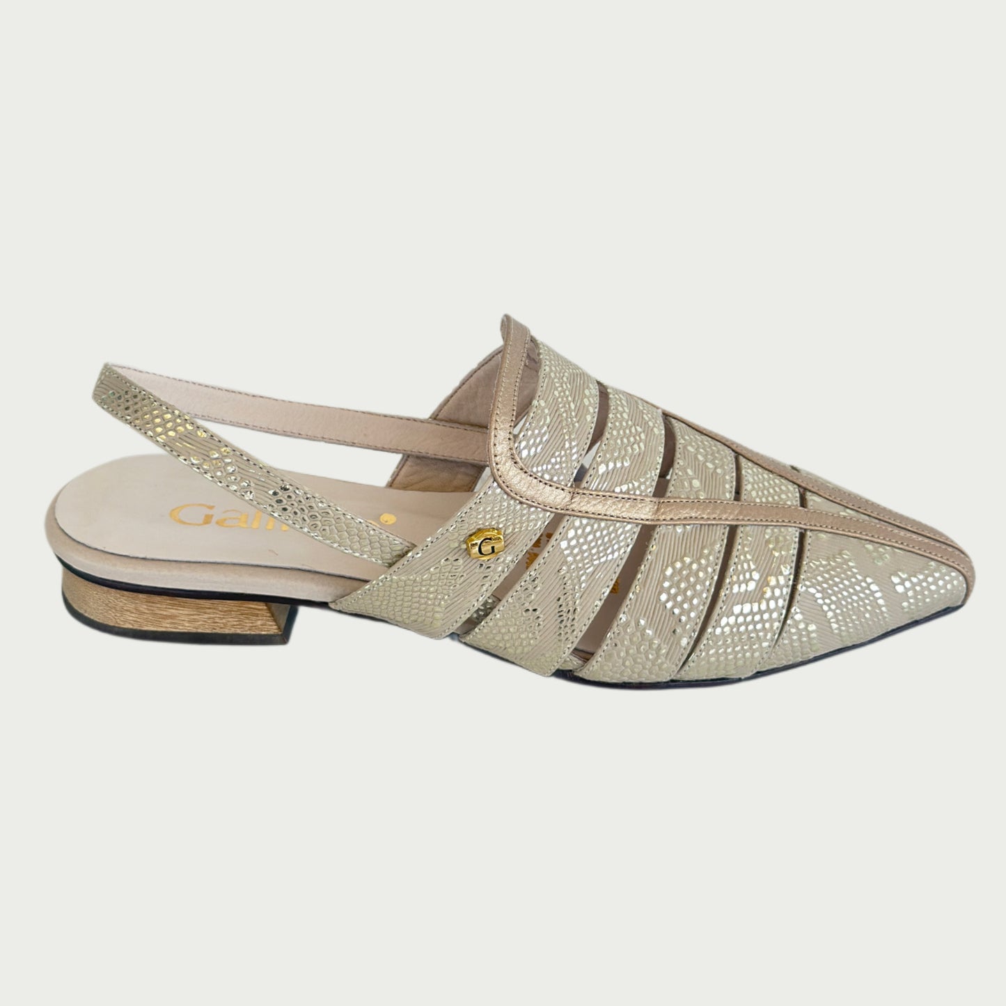 Zapatos en cuero arena Ref: PC126