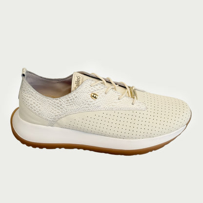 Tennis en cuero talco x beige Ref: SD118WPT