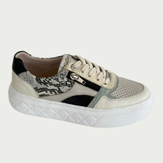 Tenis beige x verde Ref :SV23NPEG4
