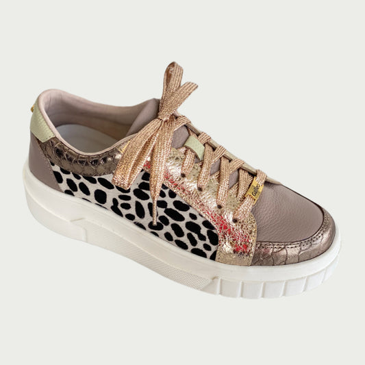 Tennis en cuero dorado x animal print Ref. C505NPMC