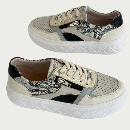 Tenis beige x verde Ref :SV23NPEG4