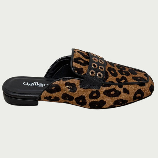 Zuecos animal print Ref: 834MPANI