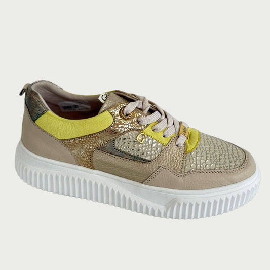 Tennis en cuero beige x verde Ref: SV12NPCH